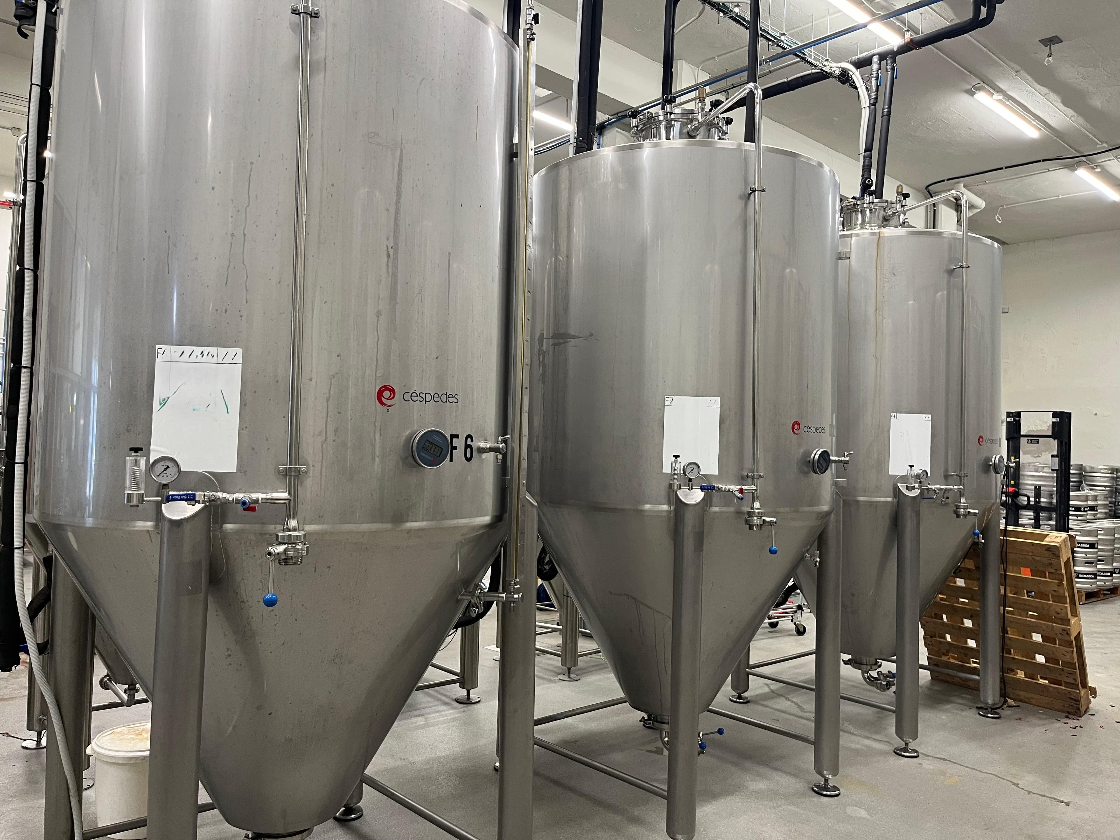 Image of the product